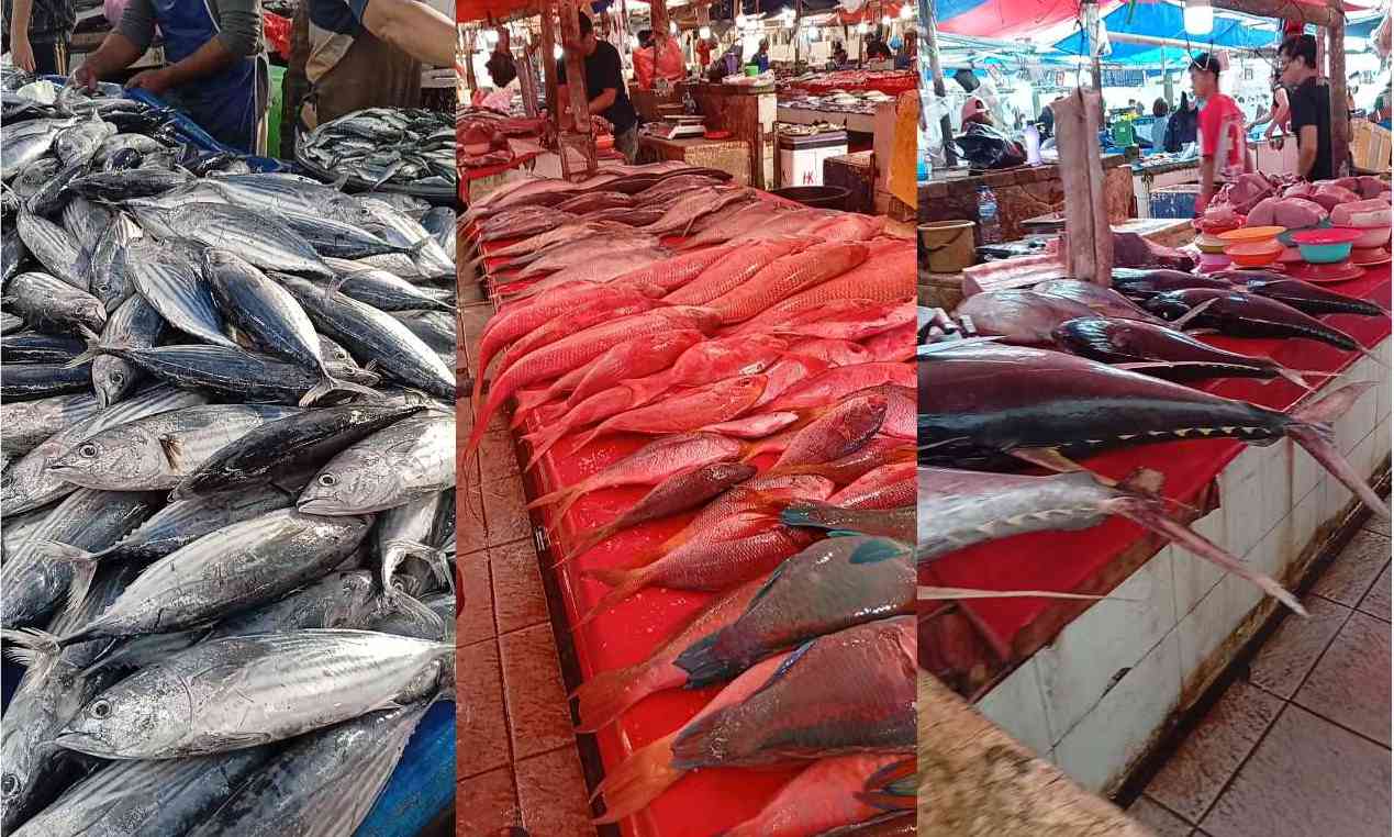 Harga Ikan Segar di Pasar Tomohon Cenderung Stabil